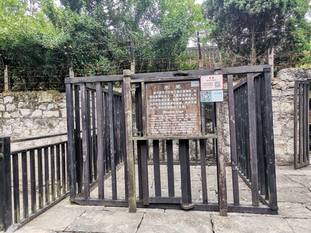 图片6.jpg